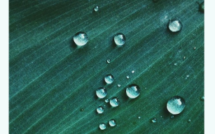 listing.media.image_placeholderOuvrir en plein écran