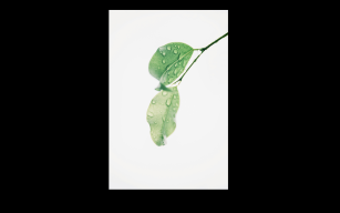 listing.media.image_placeholderOuvrir en plein écran