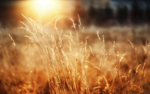 Image d'illustration de Liting Testing 1/1 - Ouvrir en plein écran