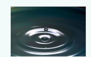 Image d'illustration de Ross and Flowers Inc 4/4 - Ouvrir en plein écran