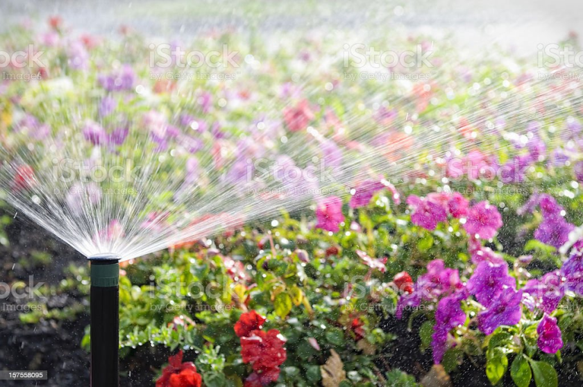 Image d'illustration de Water listing 6/7 - Ouvrir en plein écran