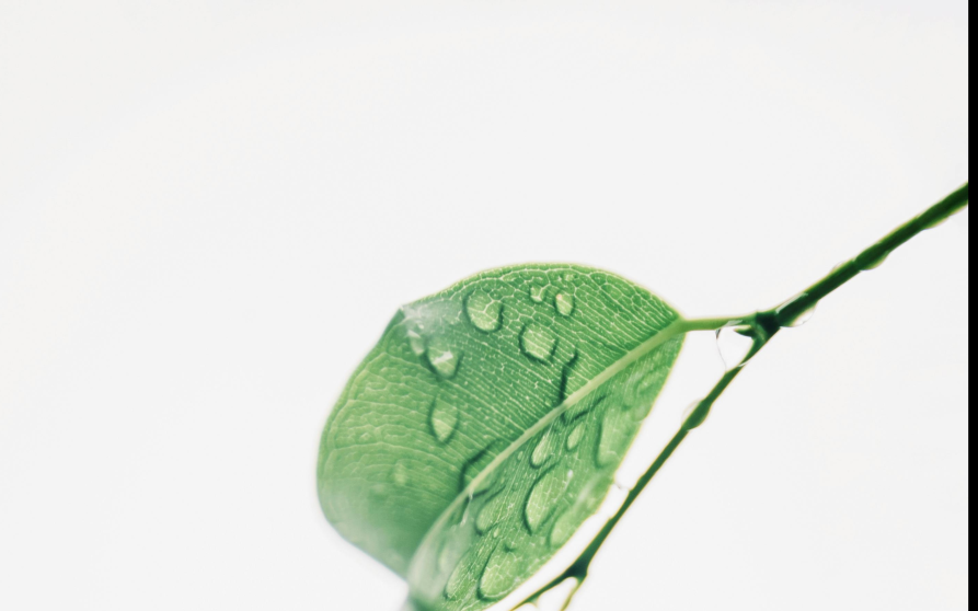 Image d'illustration de Water listing 6/7 - Ouvrir en plein écran