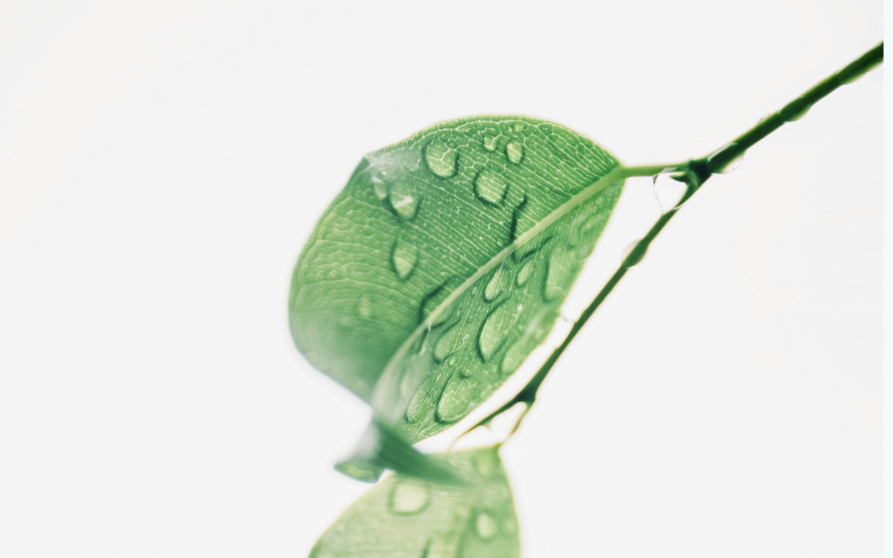 Image d'illustration de Ratione eligendi est 9/9 - Ouvrir en plein écran