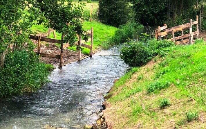 Plantation des berges - Crédits photos : SMVA