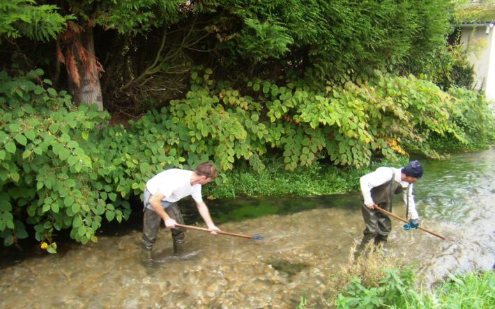 Recharge frayères Airaines - Crédits photos : SMVA