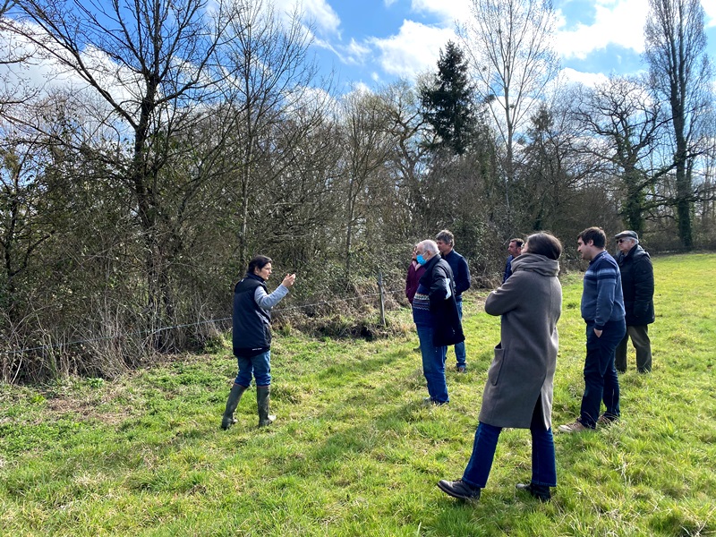 Des séances de formation à l’entretien des haies sont organisées régulièrement sur le terrain - Crédits photos : Pays Castelroussin