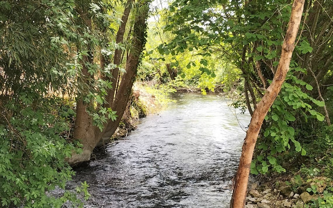 La Nouère - Crédits photo : Syndicat du Bassin des Rivières de l'Angoumois
