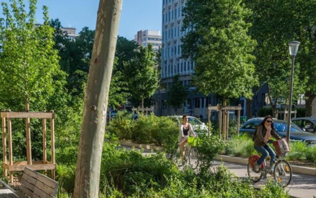 La végétalisation urbaine et rurale pour réguler localement la température et le cycle de l’eau
