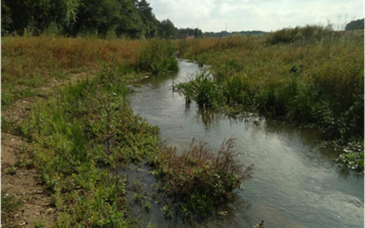 Zone humide restaurée du Vernisson - Crédits photo : EPAGE Bassin du Loing