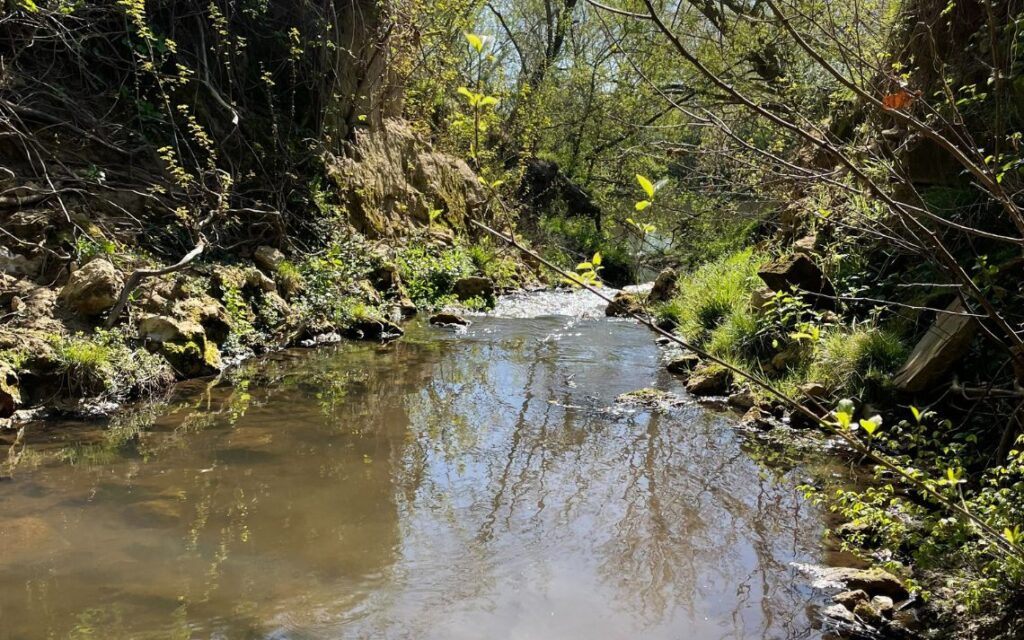 À Pontonx-sur-l’Adour, la restauration de la continuité écologique entre l’Adour et le ruisseau de la Gaube (40)