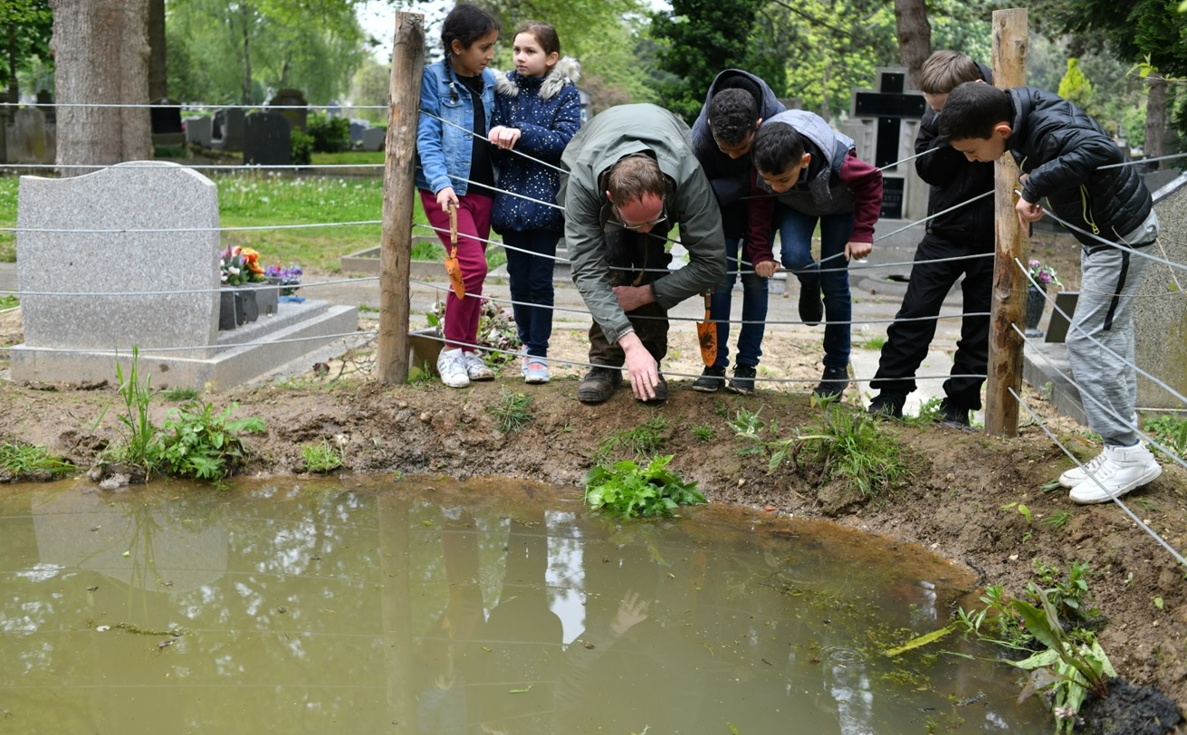 Mares Cimetière Lille sud - Crédits photo : .Julien Sylvestre