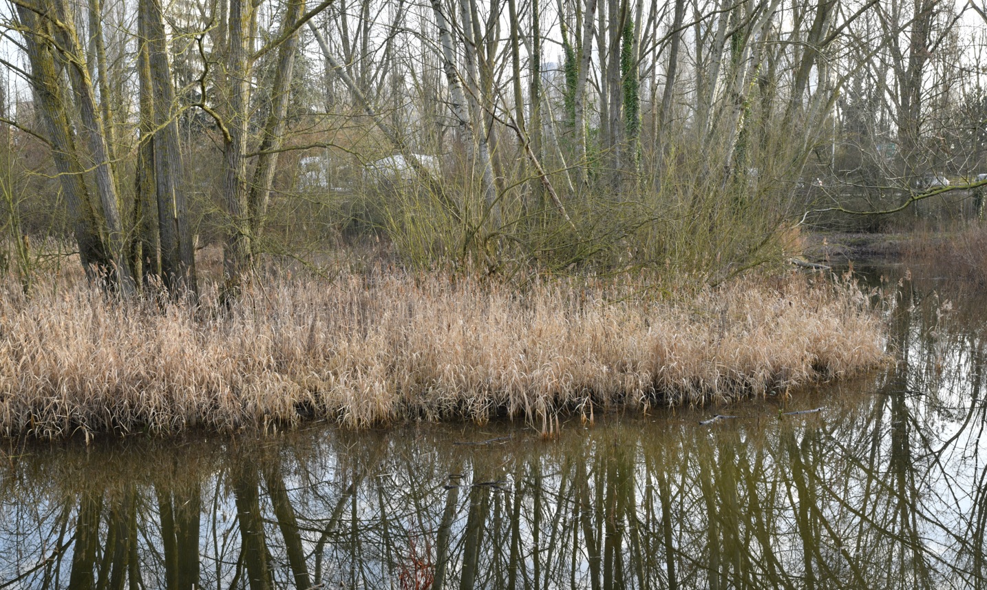 Plaine Churchill Lille - Crédits photo : Julien Sylvestre