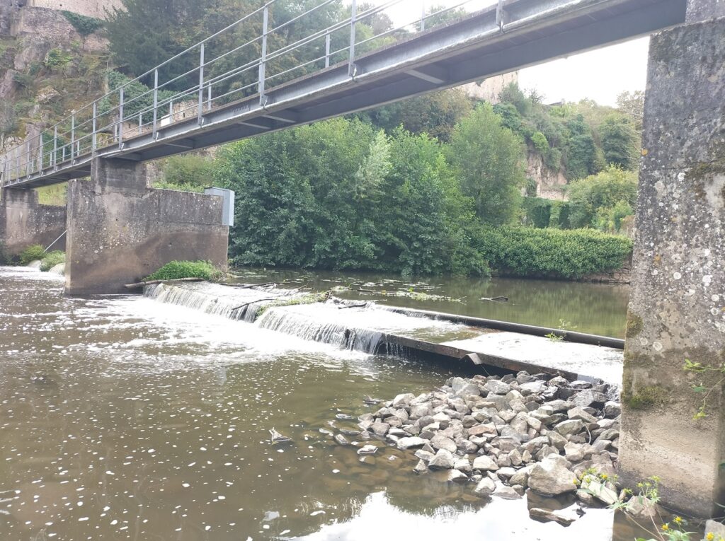 Une rampe à castors pour améliorer leurs déplacements sur la rivière du Thouet (79)