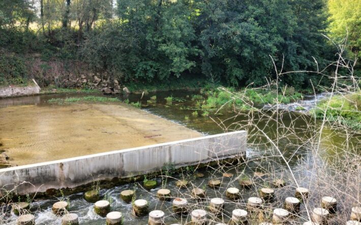 Passe à poissons - Crédits photo : Syndicat mixte Epidropt