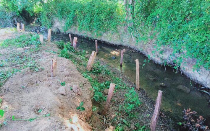 Restauration de l'Ouin - Crédits photo : Communauté d'Agglomération du Bocage Bressuirais