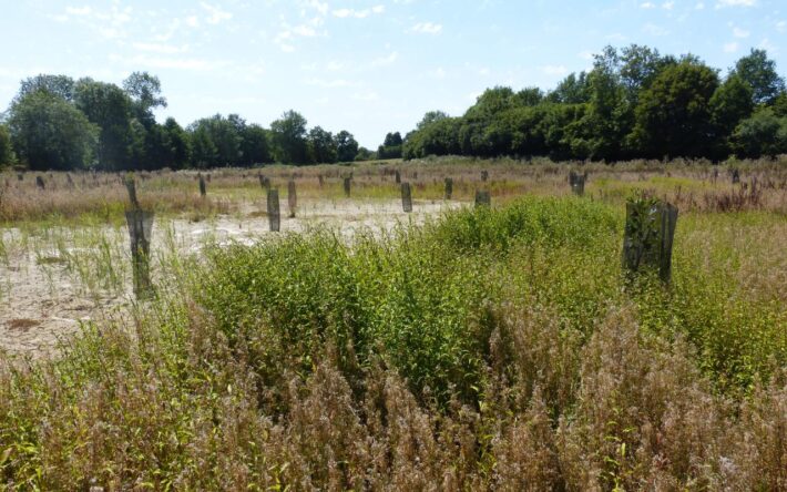 Crédits photo : Communauté d'Agglomération du Bocage Bressuirais