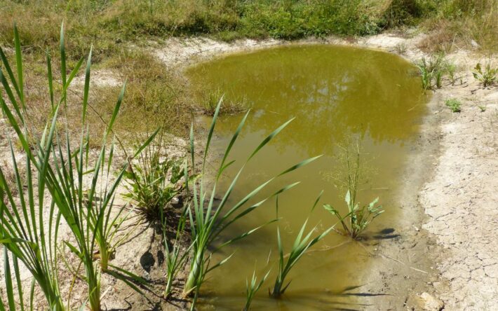 Crédits photo : Communauté d'Agglomération du Bocage Bressuirais