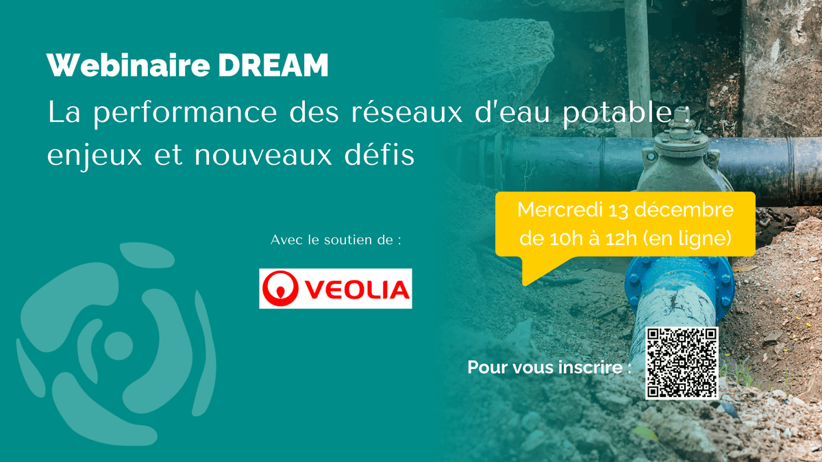 La performance des réseaux d'eau potable : enjeux et nouveaux défis