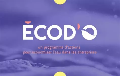 Clôture de la saison 2022-2023 du programme régional ecod'o