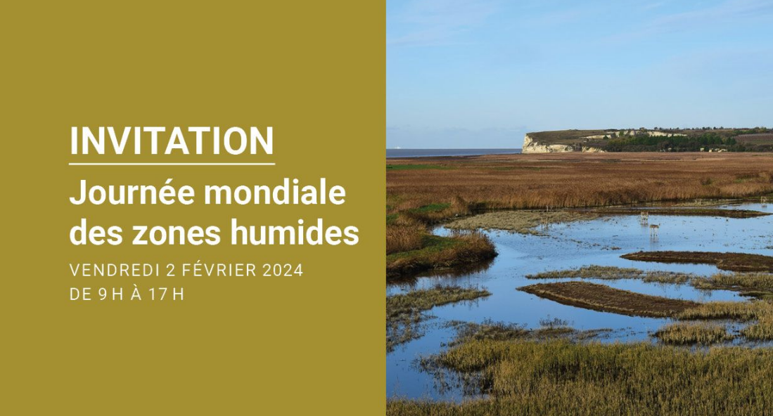 Journée Mondiale des Zones Humides - Evènements en Charente Maritime
