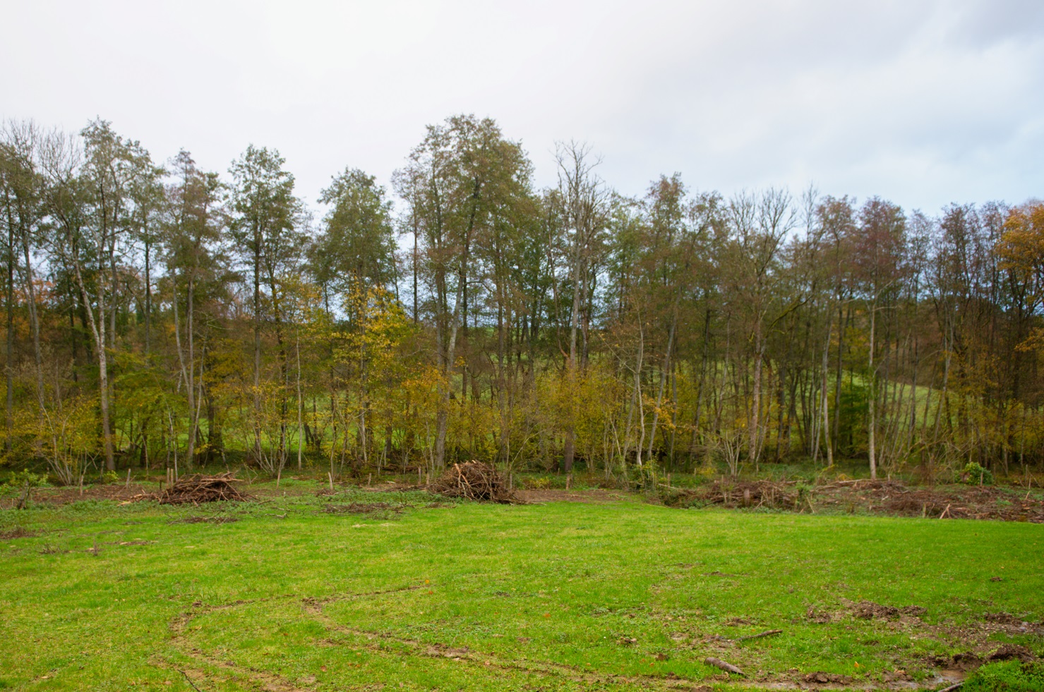 Terrain acquis à Chancenay - Crédits photo : Banque des Territoires