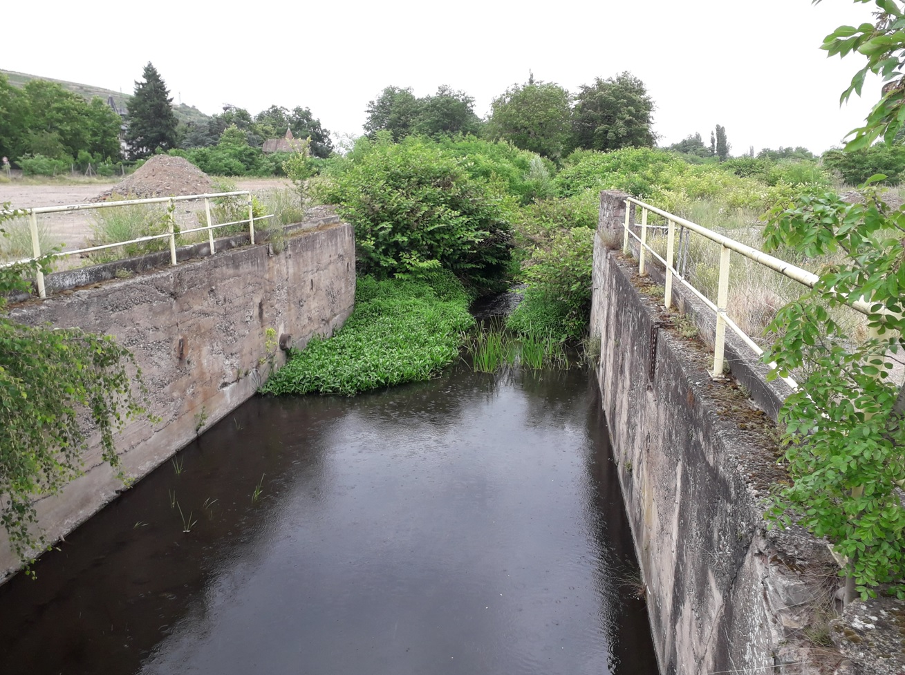 Etat des berges avant le chantier - Crédits photo : Syndicat des Rivières de Haute Alsace