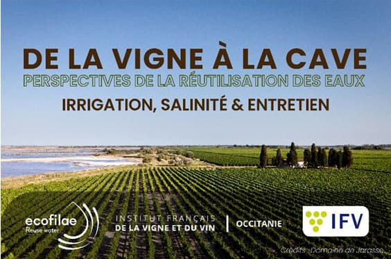 De la vigne à la cave : Perspectives de la réutilisation des eaux - Irrigation, salinité & entretien