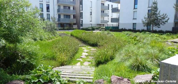 Jardin de pluie - Crédits photo : K.Rondeau-Cerema