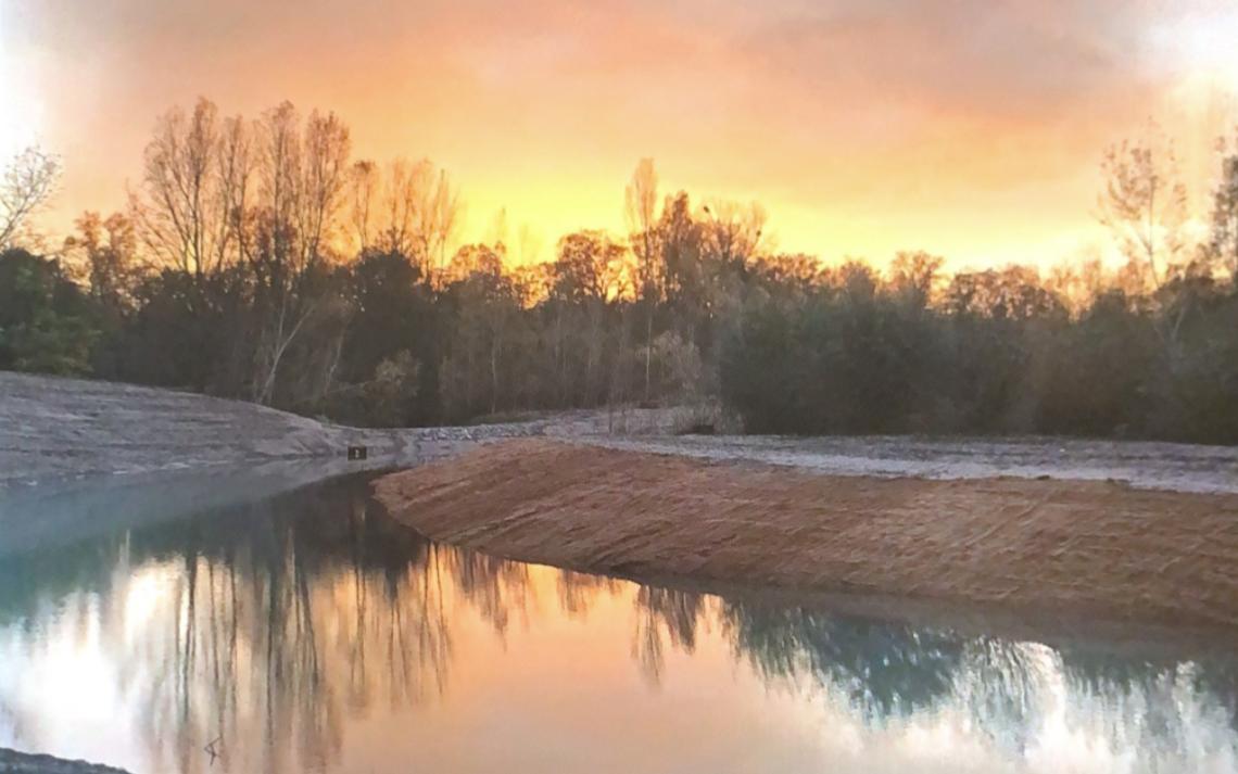 Roselière terminée - Crédits photo : Commune de Beinheim