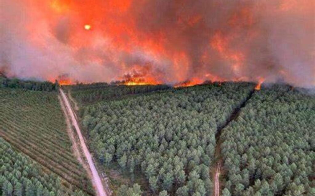 Les leçons des incendies ravageurs de l’été 2022 en Nouvelle-Aquitaine