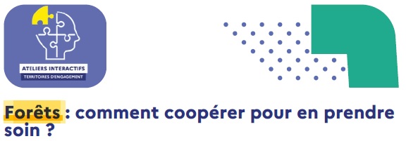 Forêts : comment coopérer pour en prendre soin ?