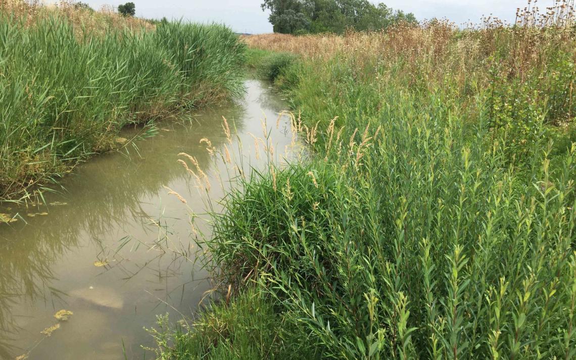 Briançon après restauration - Crédits photo : EPTB Gardons