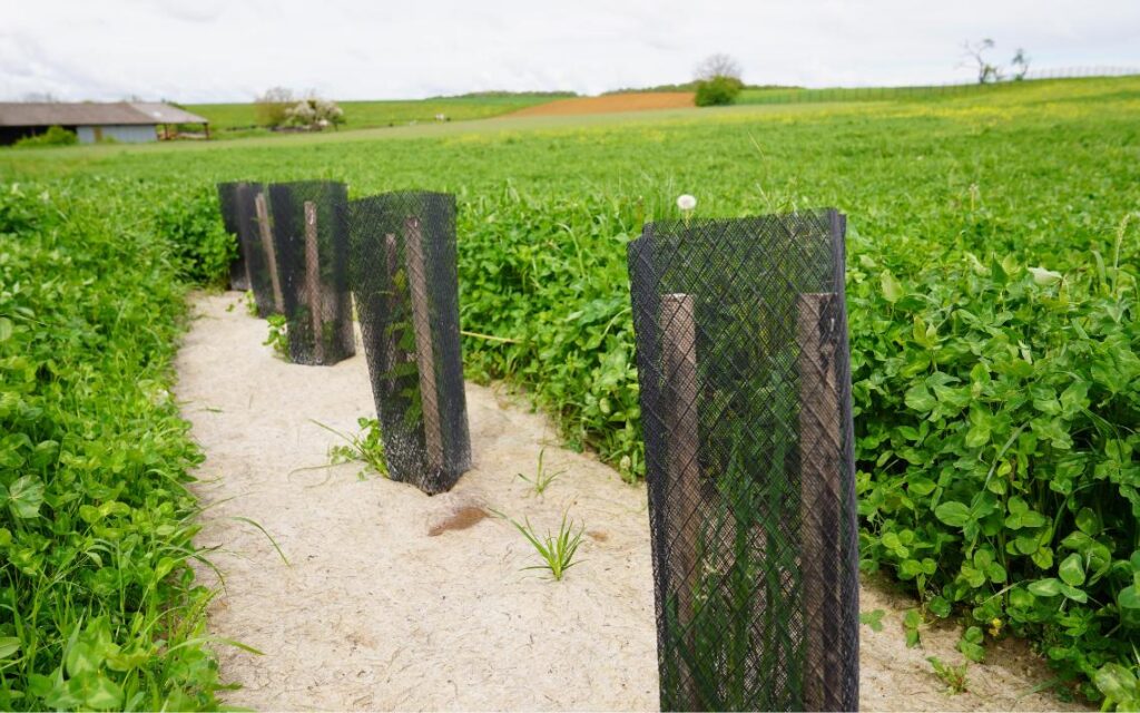 Pour restaurer la qualité de l’eau, la mission eau du plateau de Vicherey-Beuvezin (54) joue la carte de la coopération