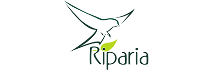 Riparia