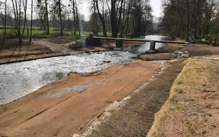 Restauration des berges avec la mise en place de banquettes végétalisées - Crédits photo : Communauté de communes du Sammiellois