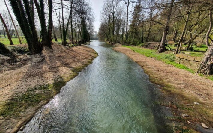 Restauration des berges avec la mise en place de banquettes végétalisées - Crédits photo : Communauté de communes du Sammiellois