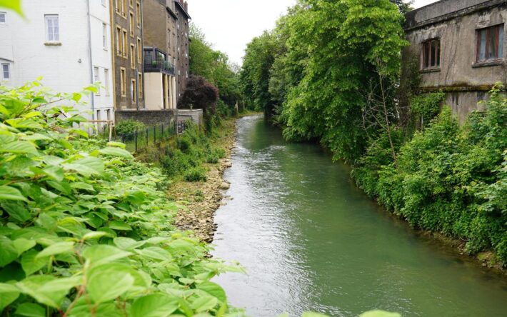 La collecte des rejets d’eaux usées de 32 d’habitations de la rue Augistrou par la pose d’une canalisation implantée dans une banquette minéralisée de 3 m de large sur 550 m de long créée dans le lit de la Crusnes en rive droite permet d’améliorer localement la qualité de l’eau - Crédits photo : Banque des Territoires
