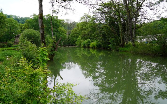 La réhabilitation de la zone humide de la Platinerie - Cette zone noyée en période de hautes eaux  offre un habitat parfait pour la reproduction printanière des amphibiens - Crédits photo : Banque des Territoires