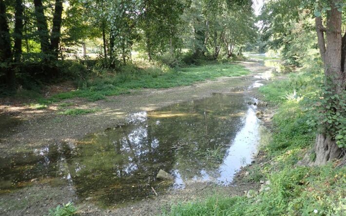 Avant travaux, le bras de Meuse, en période d'étiage, laisse apparaitre des trous d''eau - Crédits photo : Communauté de communes du Sammiellois