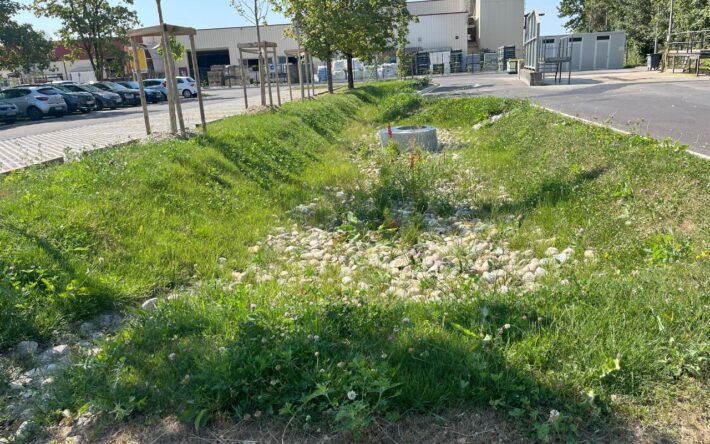 Le Grand Chalon a réalisé des travaux de désimperméabilisation des sols des bâtiments de son Pôle environnement – Crédits photo : Banque des Territoires