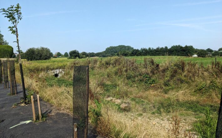 Des arbres ont été plantés le long de la rive - Crédits photo : Banque des Territoires