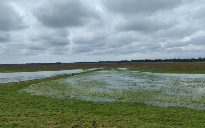 Le marais communal de Lairoux, d’une superficie de 245  hectares, est une zone d’expansion du Lay. La commune a obtenu en 2024 le label européen Territoires de faune sauvage pour son engagement en faveur de la protection de la biodiversité - Crédits photo : Banque des Territoires