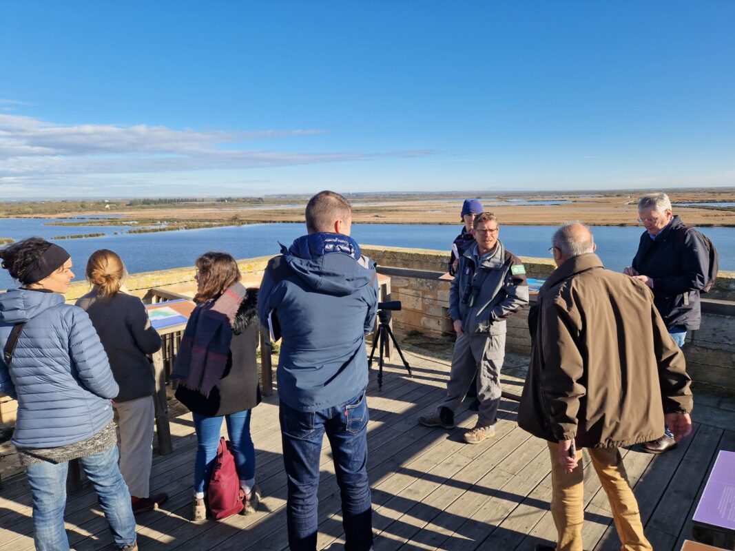 9èmes rencontres du réseau Rhône et Saône - Les zones humides : de la mémoire à l'action