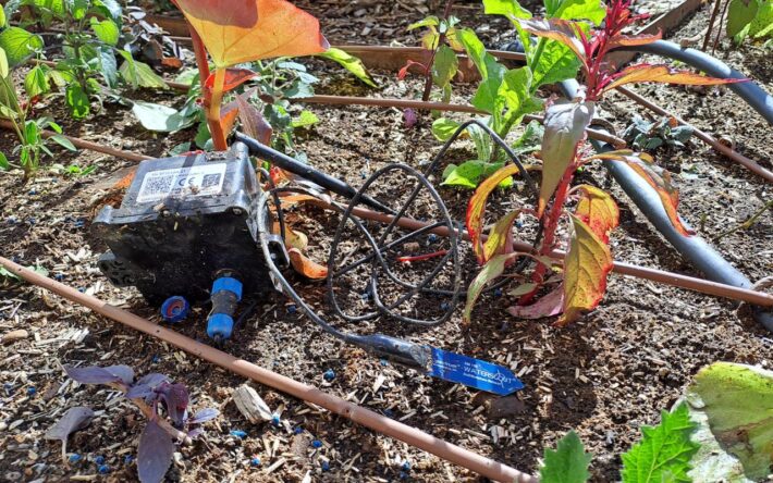 Des sondes permettent d’apporter à chaque plante la juste quantité d’eau dont elle a besoin - Crédits photo : Ville de Martigues