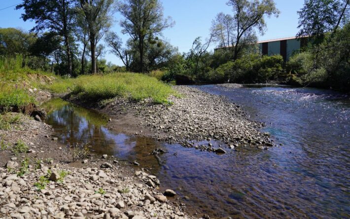 Les annexes hydrauliques sont  des bras morts ou dépressions dans le lit de la rivière. Ces zones humides sont immergées une partie de l’année et s’assèchent naturellement en été, permettant ainsi le développement d’une végétation semi-aquatique riche et spécifique. Crédit photo : Banque des Territoires