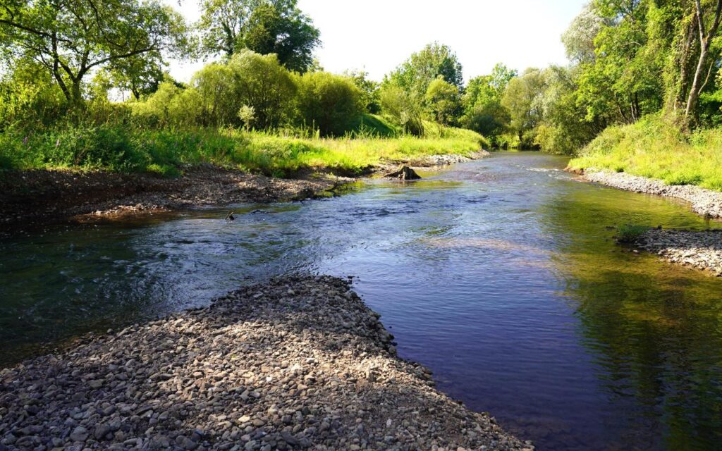 À Nommay (25), la Savoureuse a retrouvé son lit originel et peut s'épancher sur 2 hectares en cas de crue