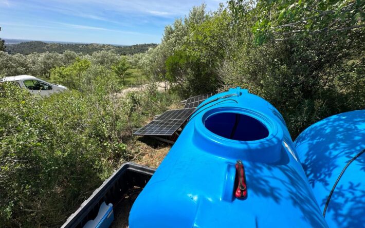 L’eau est actuellement apportée sur les parcelles dans de gros récipients. Si l’expérimentation s’avère concluante, des systèmes de tuyaux permettant l’irrigation seront mis en place - Crédits photo : Banque des Territoires