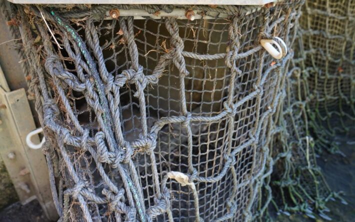 Un filet antipollution a été installé sur deux exutoires du réseau pluvial à Vesoul. Crédits photo : Banque des Territoires