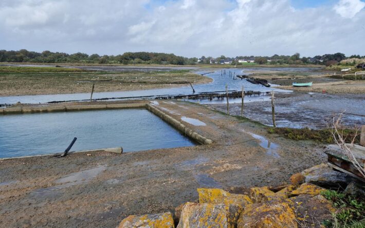 Le territoire de Banastère sur la commune du Tour du Parc, compte des plages ainsi que l'activité ostréicole – Crédits photo : Banque des Territoires