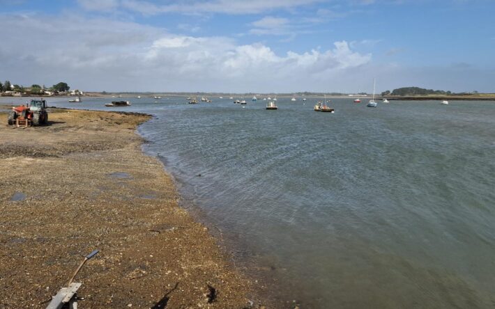 L'activité ostréicole est un marqueur de la qualité de l'eau. « Les huîtres sont des sentinelles de l'environnement », selon François Mousset, maire de la commune – Crédits photo : Banque des Territoires